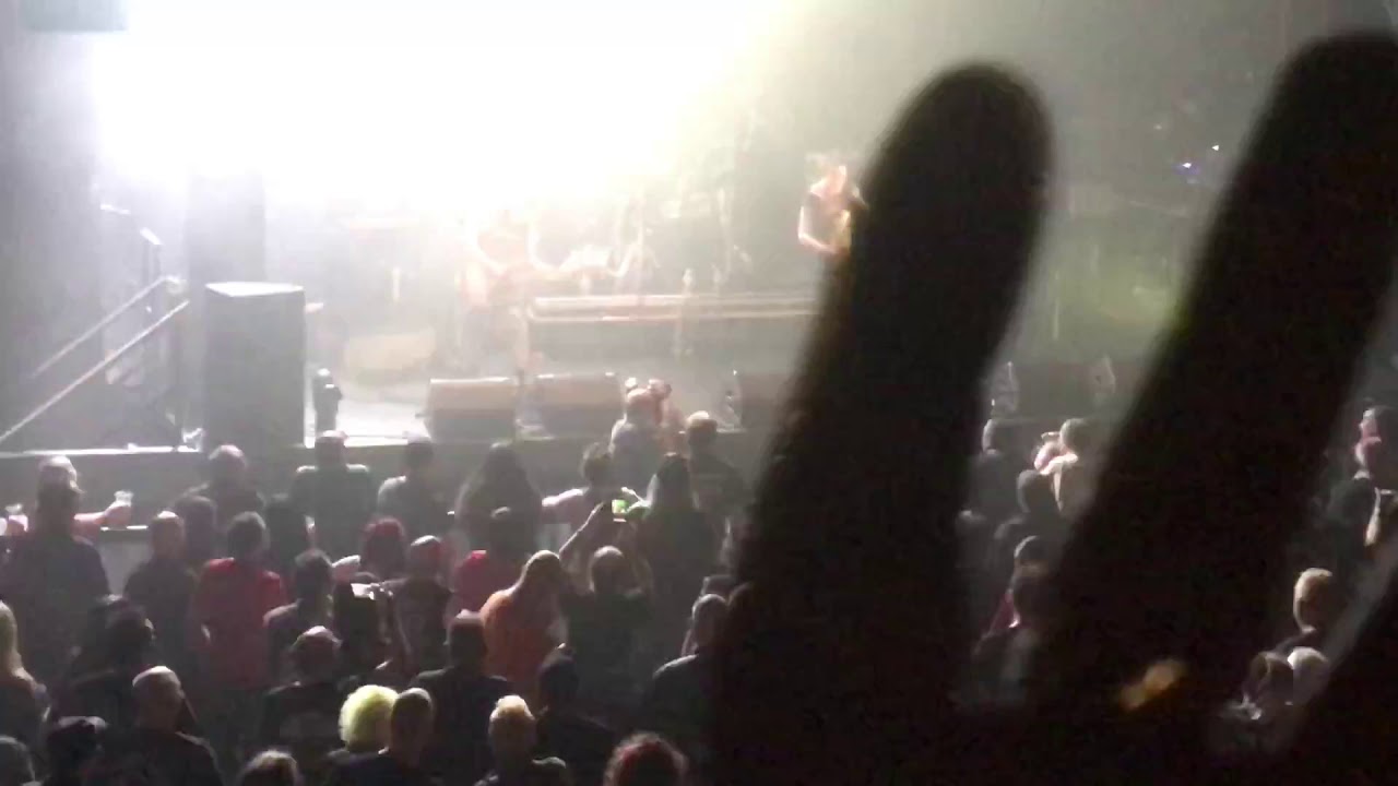 Subhumans, rats - YouTube