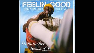 Krizz Kaliko ft  Futuristic - Feelin Good (Humanchee Remix)