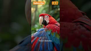 The Spirit of the Amazon: A Macaw's Flight 🦜✨