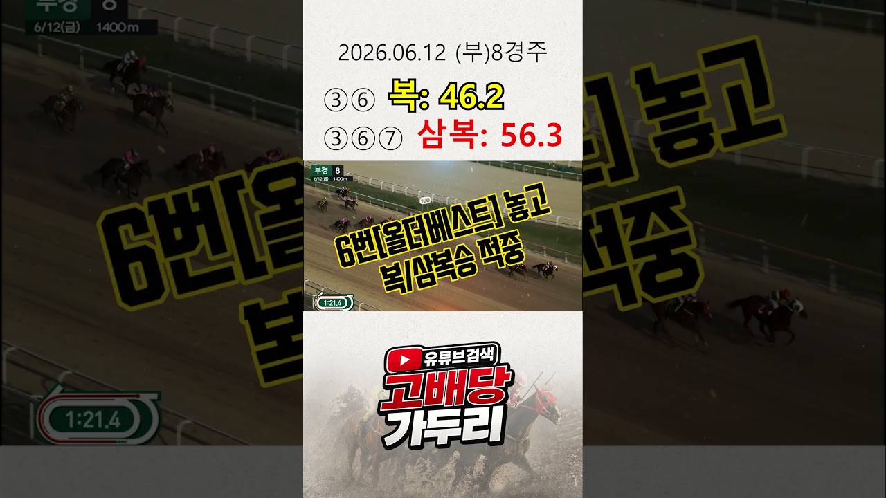 고배당 마필이 궁금해???