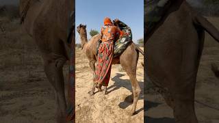 لحظة سقوط الفتاة من الجمل المتعب بسببحرارة ?