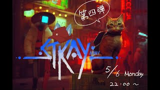 『 STRAY 』  Part4