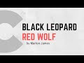 Book Review: Black Leopard Red Wolf