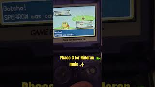 Pokémon Firered Shiny Spearow #pokemon #pokémon #shinypokemon #shinyhunting