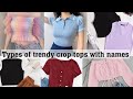 Types of trendy crop top with namesthe trendy girl