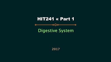 HIT241 Ch 4 - Surgery Digestive System Part 1 (2017)