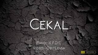 XPDC~Cekal lyrics