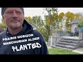 From Vole Havoc to a Fresh Start: Alders New Home