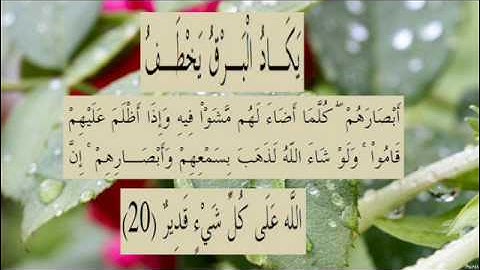 القران الكريم سورة البقرة الاية 20