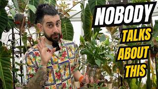 Why Your Plants Look Worse Than Instagram (It’s Not You) 😅🌿