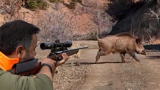 Ultimate MONSTER BOAR Hunts, FEARLESS Dogs, Unbelievable ACTION! #hunting #hog