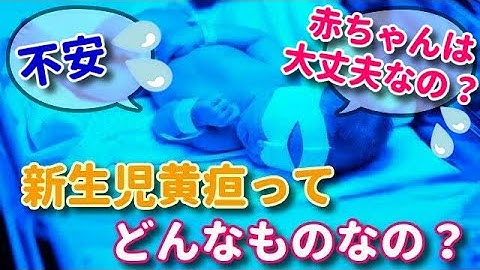 新生児黄疸 Youtube