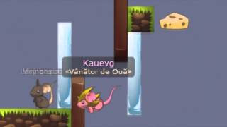 Transformice - Kauevg 1k || First