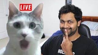 🔴Live coding job applicator | Python | JavaScript