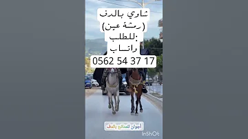 شاوي بدون موسيقى رمشة عين بالدف فقط Douf شاويه بالدف بيان شوب 