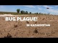 [Eps. 90] BUG PLAGUE! in Kazakhstan - Royal Enfield Himalayan BS4