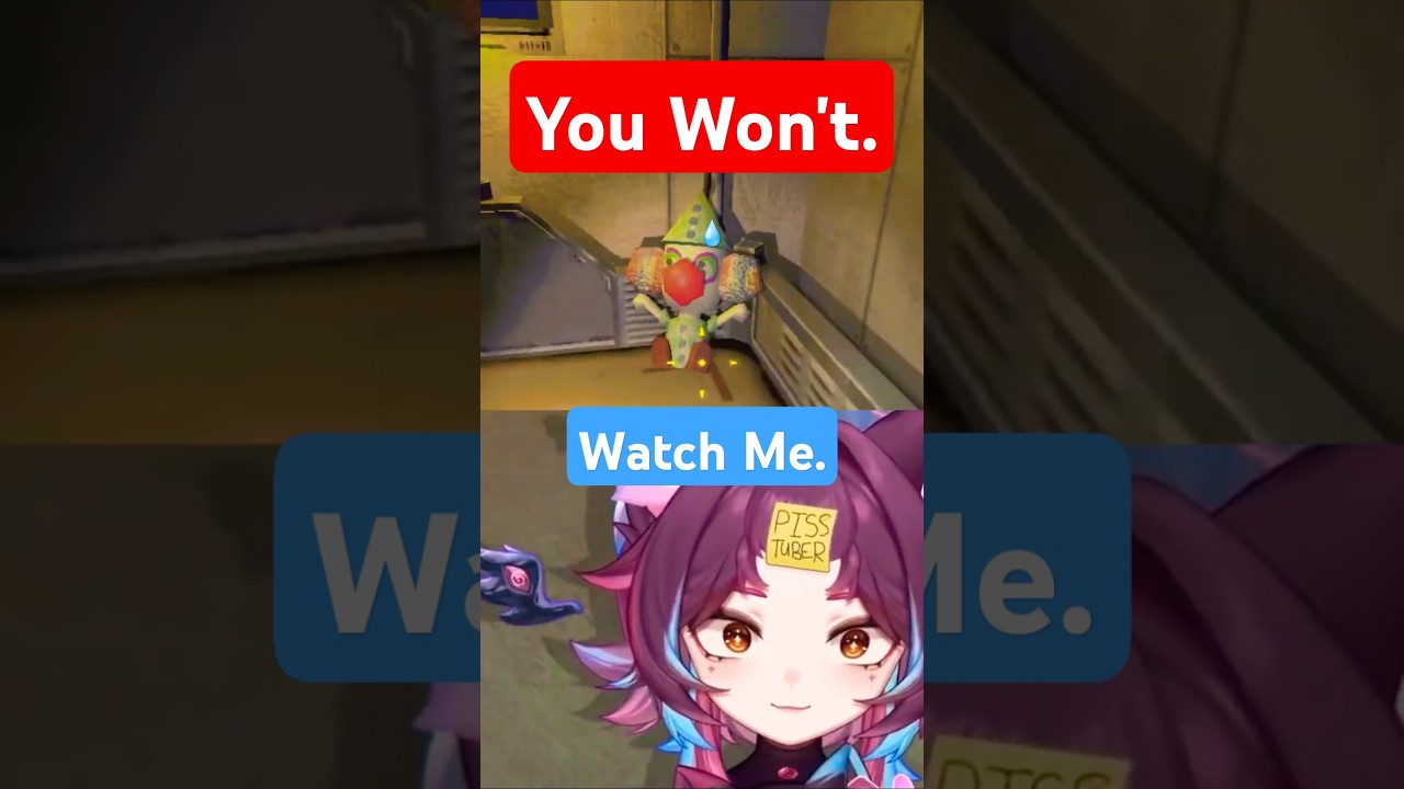 Never Say THIS To A Vtuber!