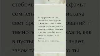 Самое теплое - премьера песни