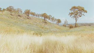 “一个人的风景也很美 - Solo Journey” - Film Photography screenshot 2
