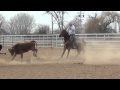 "Blink" - Heel Horse - 2006 AQHA Sorrel Gelding