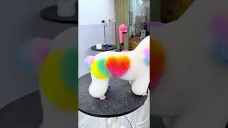 ĐỘ CHO BỘ NHÔNG MỚI KENG XÀ BEN LUÔN 🤭