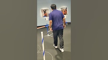 working our #agility training!!! #puppy #dogtraining