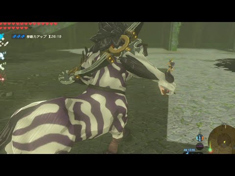 依頼を受けて、ライネルをラジコンのように動かしてみた