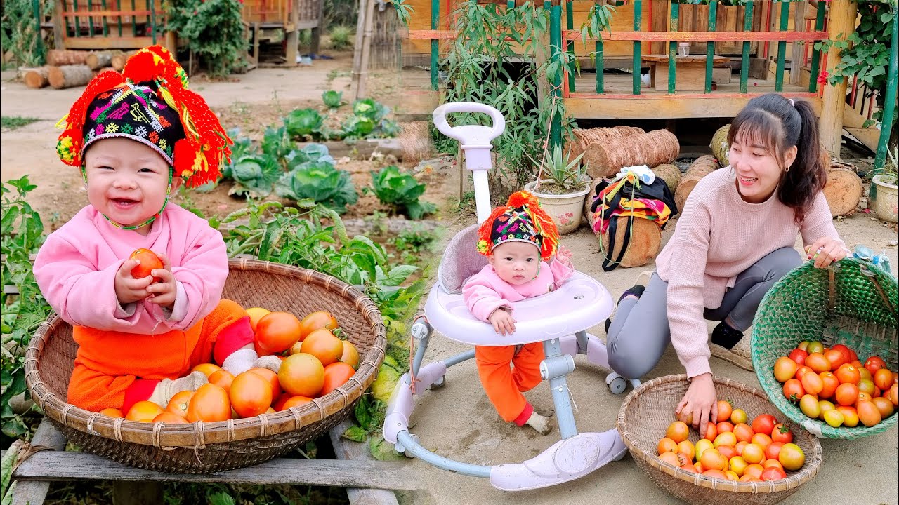Full video 60 Days Single Mother Harvests Vegetables to Sell at the ...