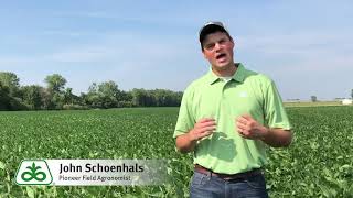 Navigating Soybean Herbicide Trait Options: Part 2