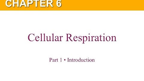 Chapter 6 Part 1 Introduction