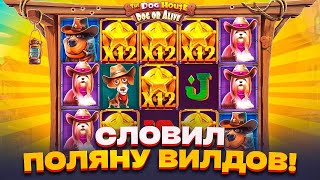 ЗАЛЕТЕЛ В НОВЫХ СОБАК И СЛОВИЛ ЗАНОС! ЗАНОС В THE DOG HOUSE DOG OR ALIVE /  ЗАНОСЫ НЕДЕЛИ