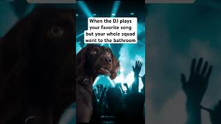 Happens EVERY TIME 🤬 #melodicbass #edmfestival #tomorrowland #edmmusic #edmlifestyle