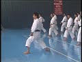 Kasuya Hitoshi sensei. Advanced kihon combination.