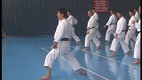 Kasuya Hitoshi sensei. Advanced kihon combination.