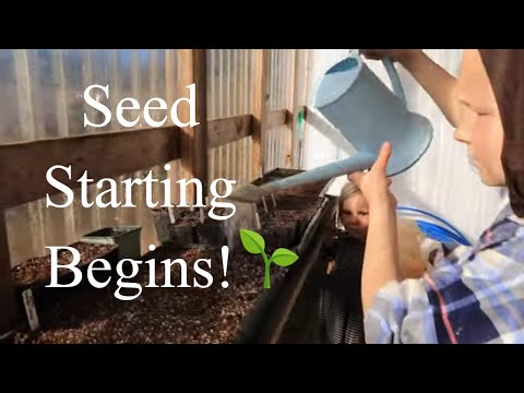 Seed Starting Begins For 2024! / What We Start In Early February (Zone 6)