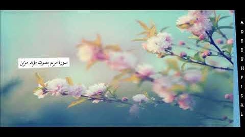 آيات من سورة مريم, القارئ مؤيد مزين