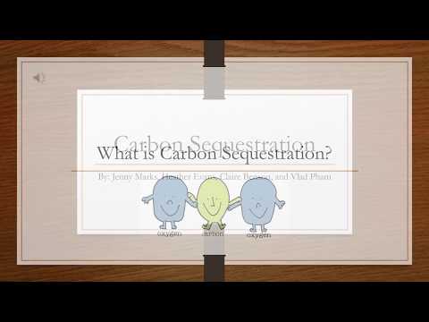 Carbon Sequestration Video