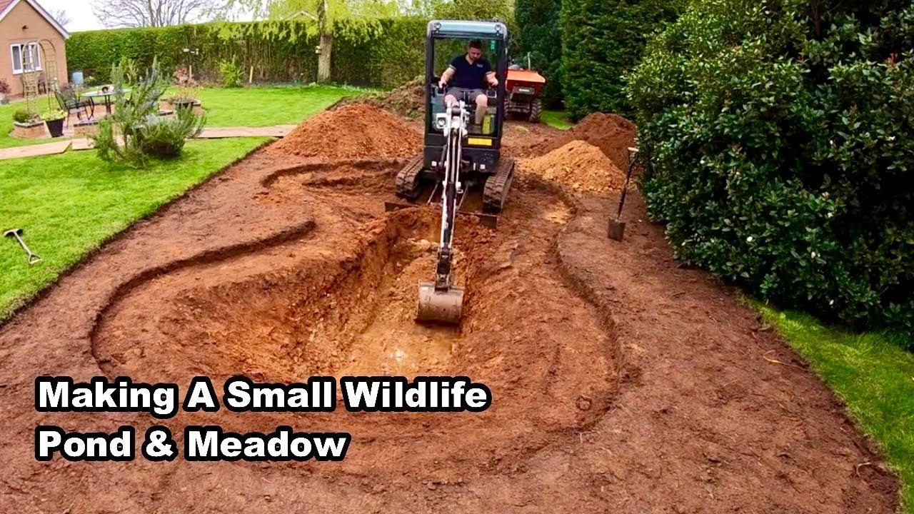 Making a SMALL WILDLIFE POND and WILDFLOWER MEADOW - 4K - Timelapse