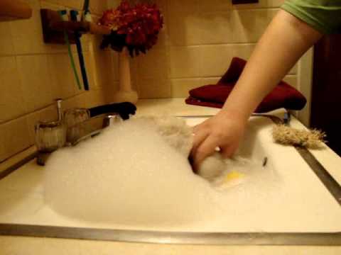 Merlene Show-1