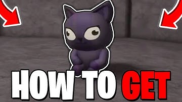How To FIND TOMOS CAT LOCATION In The Forge! (Lost Cat Quest) Roblox