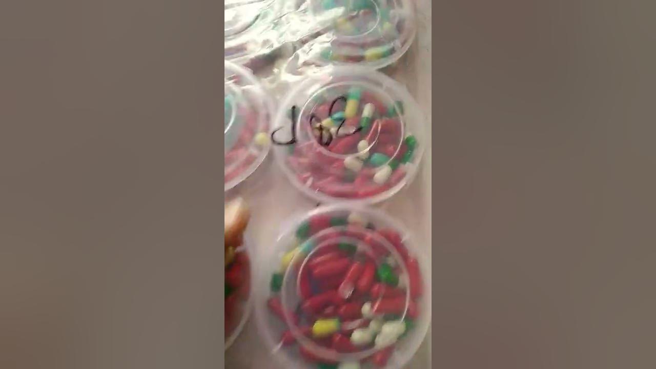 holi pakka colour