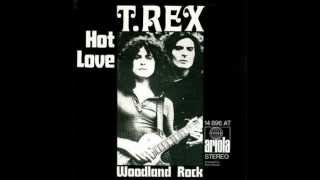 Video thumbnail of "T. Rex - Hot Love"
