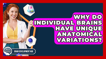 Why Do Individual Brains Have Unique Anatomical Variations? - Brain Development Hub