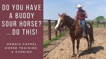 D/C  DO YOU HAVE A BUDDY SOUR HORSE? Do This...