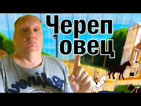 Нашёл 40 МЕТРОВУЮ