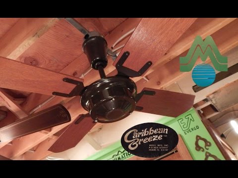 Moss Caribbean Breeze Ceiling Fan