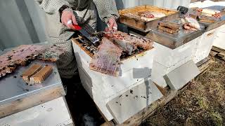 2022 Winter/Spring Beekeeping Season - Part 1