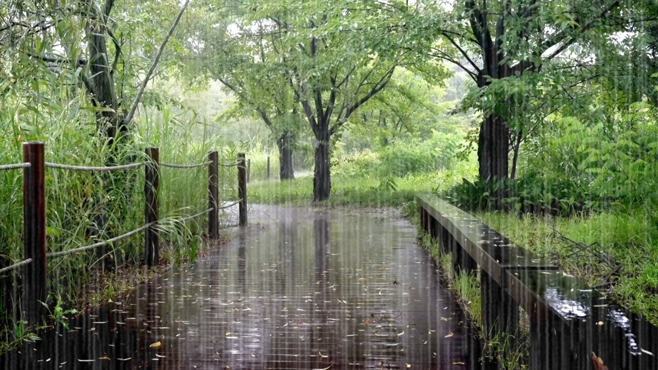 Звуки сильного дождя для более быстрого засыпания - избавление от бессонницы, облегчение шума в ушах