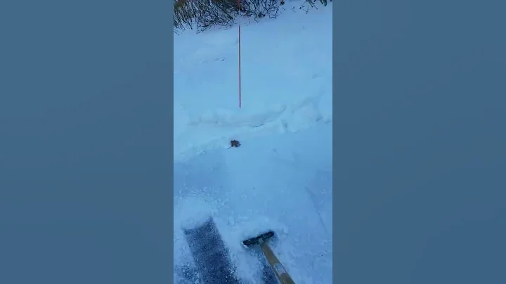 NH Shoveling Ice is NO FUN