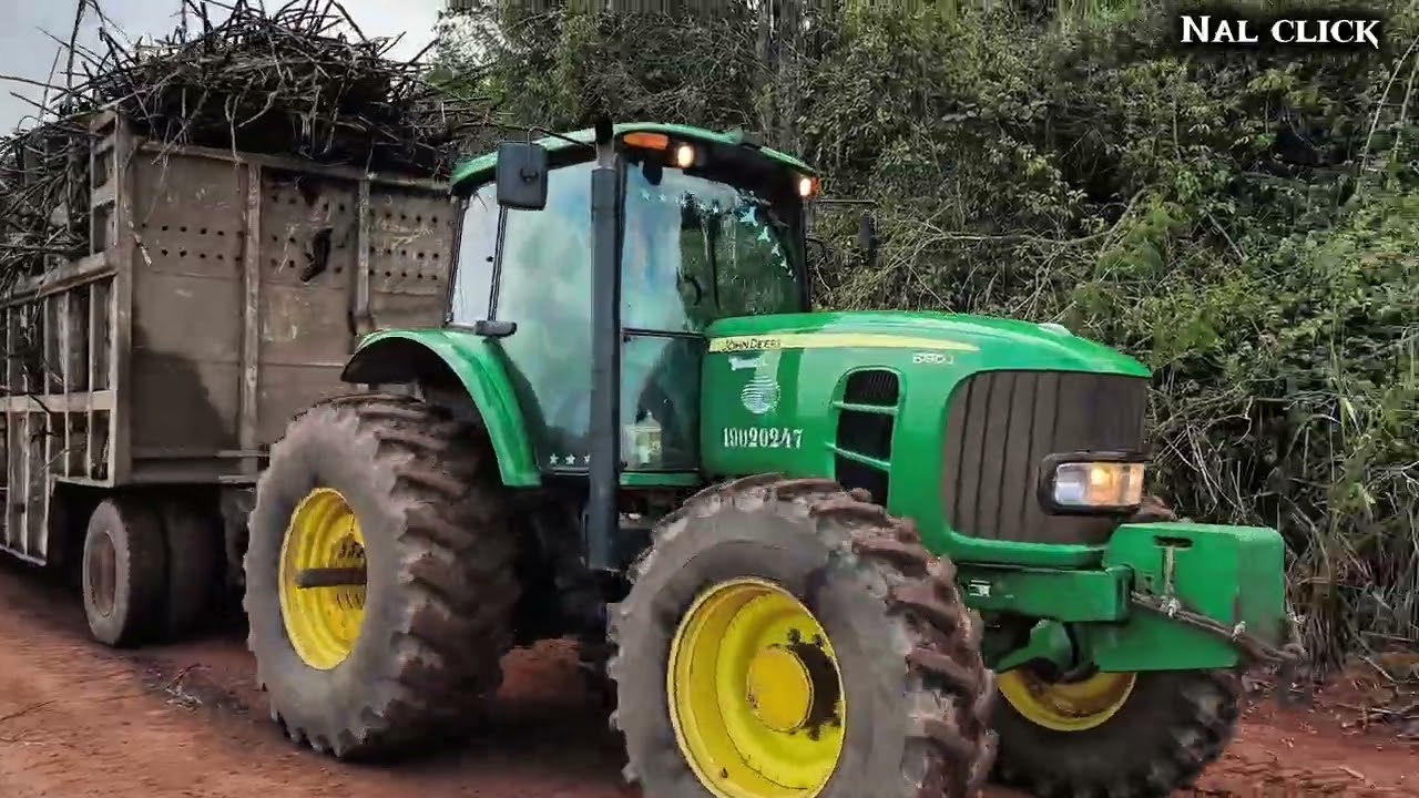 Vamos dá uma volta no antigo engenho macaco/ corte de cana de açúcar 